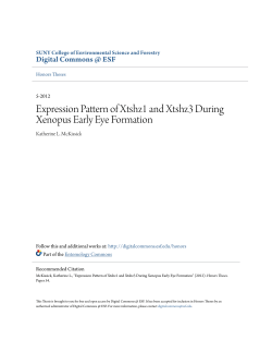 Expression Pattern of Xtshz1 and Xtshz3 During Xenopus Early Eye