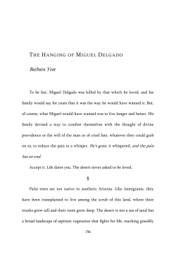 The Hanging of Miguel Delgado