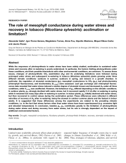 The role of mesophyll conductance during water stress and recovery