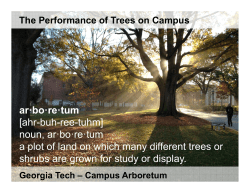 ar&middot;bo&middot;re&middot;tum [ahr-buh-ree-tuhm] noun, ar&middot;bo&middot;re&middot;tum a plot of land on