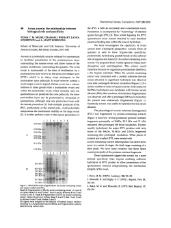 99 Avian acrosin: the relationship between biological role and