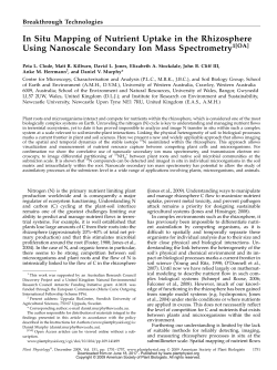 Mapping of Nutrient Uptake in the Rhizosphere