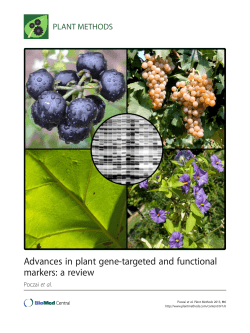 Advances in plant gene-targeted and functional markers: a review