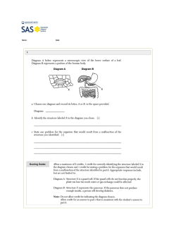 Short Response Question Answers