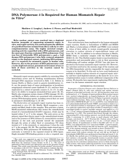 DNA Polymerase Is Required for Human Mismatch Repair