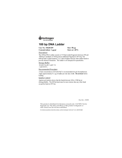 100 bp DNA Ladder - Thermo Fisher Scientific