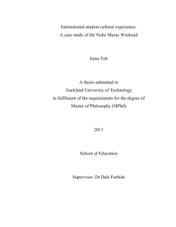 International student cultural experience