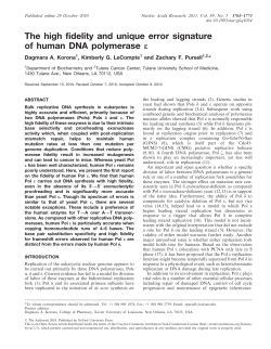 The high fidelity and unique error signature of human DNA