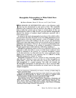 Henioglobin Polymorphism in White