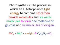 Photosynthesis: The process in which an autotroph uses light