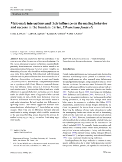 Male-male interactions and their influence on the mating behavior