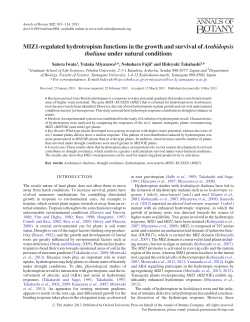 MIZ1-regulated hydrotropism functions in the