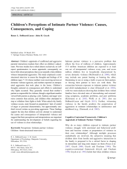 Children`s Perceptions of Intimate Partner Violence