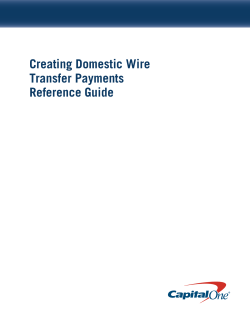 Creating Domestic Wire Transfer Payments Reference