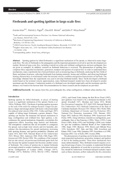 Firebrands and spotting ignition in large-scale fires