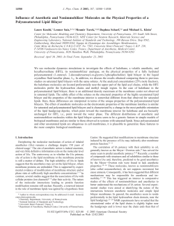 Influence of Anesthetic and Nonimmobilizer Molecules on the