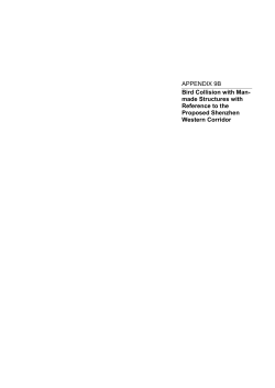APPENDIX 9B Bird Collision with Man