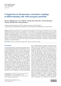 Comparison of chromosome centromere topology in differentiating