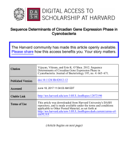 Full Text - Harvard University