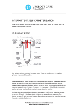 intermittent self catheterisation