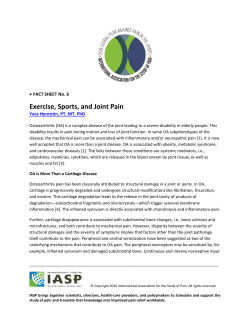 Exercise, Sports, and Joint Pain - International Association for the