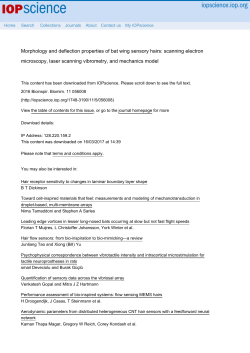 Morphology and deflection properties of bat wing