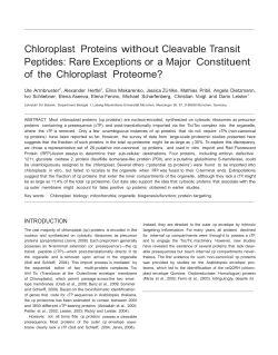 Chloroplast proteins without cleavable transit peptides: rare