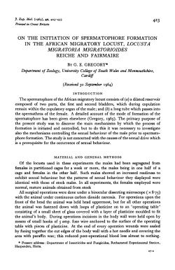 on the initiation of spermatophore formation in the african migratory