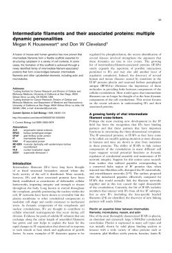 Intermediate filaments and their associated proteins: multiple