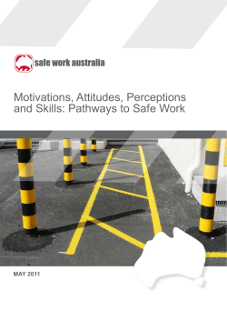 Motivation, Attitudes, Perceptions and Skills