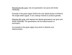 Monobiontic life cycle: only one generation can grow and divide
