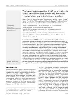 The human cytomegalovirus UL45 gene product is a late, virion