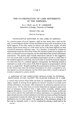 THE CO-ORDINATION OF LIMB MOVEMENTS IN THE AMPHIBIA
