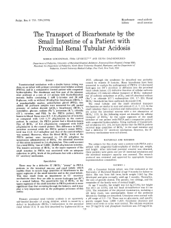 The Transport of Bicarbonate by the Small Intestine of a