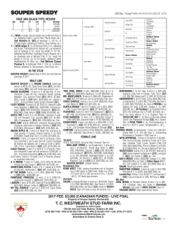 Souper Speedy - Canadian Thoroughbred Stallion Registry