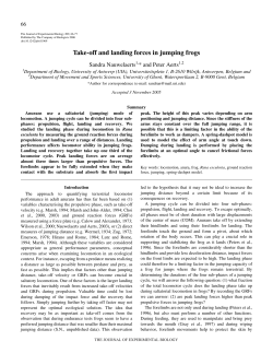 Take-off and landing forces in jumping frogs