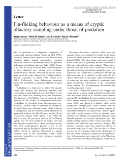 Finflicking behaviour as a means of cryptic olfactory sampling under