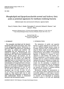 Phospholipid and lipopolysaccharide normal and hydroxy fatty acids