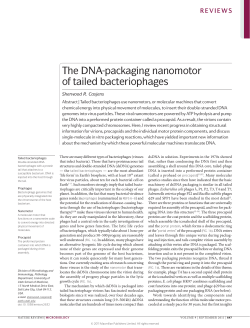 The DNA-packaging nanomotor of tailed bacteriophages