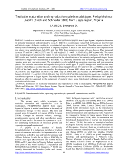 Testicular maturation and reproductive cycle in mudskipper