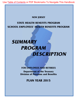Summary Program Description