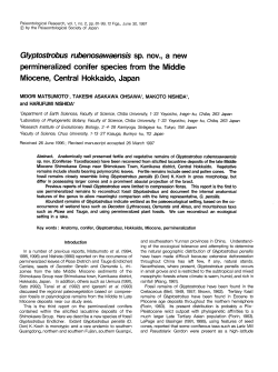 Glyptostrobus rubenosawaensis sp. nov., a new permineralized
