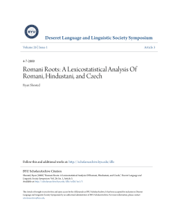 A Lexicostatistical Analysis Of Romani, Hindustani, and Czech