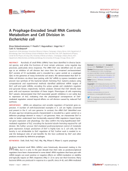 A Prophage-Encoded Small RNA Controls Metabolism and