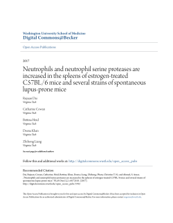 Neutrophils and neutrophil serine proteases are increased in the