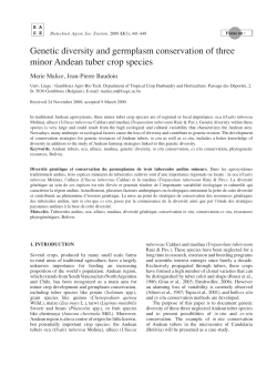Genetic diversity and germplasm conservation of three minor