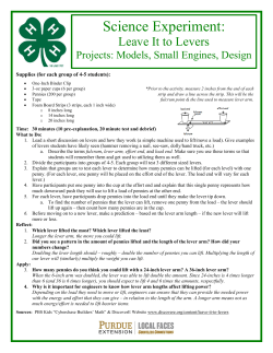 Activity - Leave It To Levers!