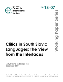 Clitics in South Slavic Languages