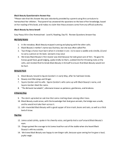 Black Beauty Questionnaire Answer Key - Easy Peasy All-in