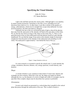 Specifying the Visual Stimulus